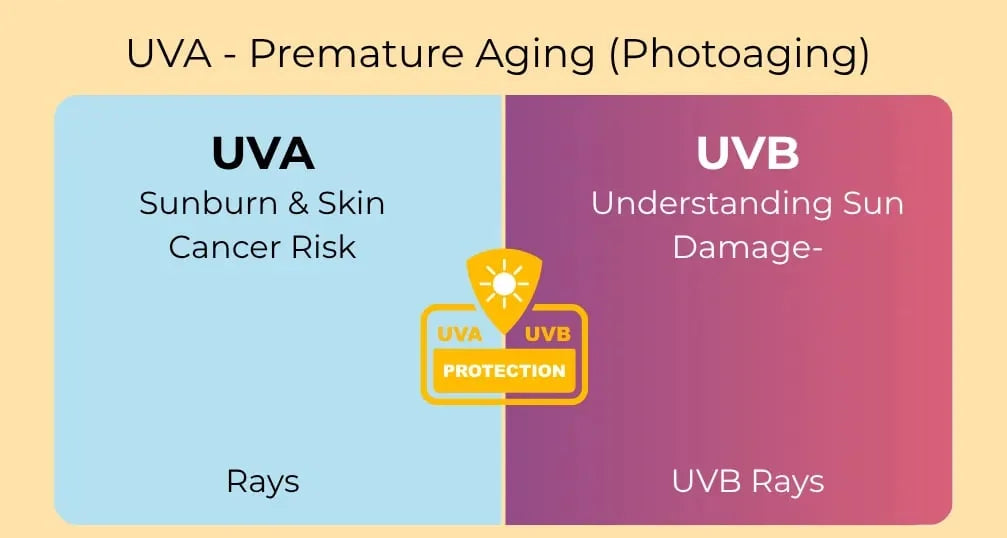 UVA & UVB rays